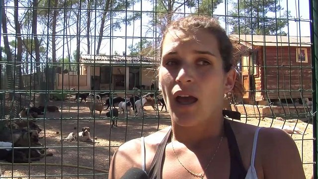 Joal, agent animalier