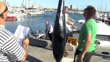 le bilan des concours de la Société Nautique avec Hung NGUYEN