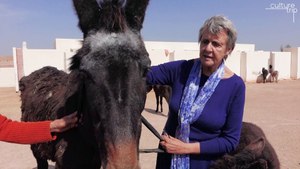 Why You Need to Visit This Moroccan Sanctuary for Abandoned Donkeys