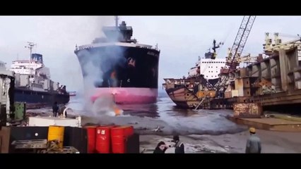 MOST AMAZING SHIP CRASHES | Daily Funny | Funny Video | Funny Clip | Funny Animals
