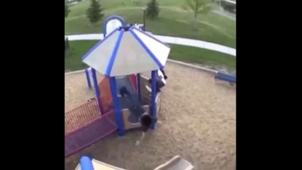 PARKOUR GONE WRONG | Daily Funny | Funny Video | Funny Clip | Funny Animals