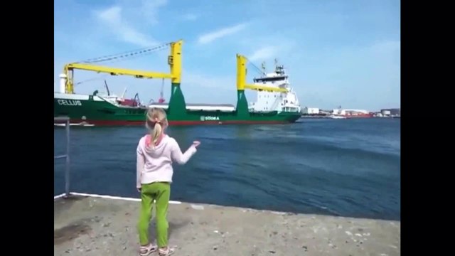VIRAL SCARING LITTLE GIRL BY SHIP HORN | Daily Funny | Funny Video | Funny Clip | Funny Animals