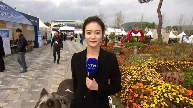 [날씨] 오늘 오후부터 비, 주말 초겨울 추위에 황사 / YTN