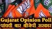 Gujarat Assembly Elections Opinion Poll: पांचवी बार सरकार बनाने की तैयारी में BJP । वनइंडिया हिंदी