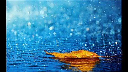 전영록 노래모음