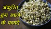 Sprouted Moong Dal | Health Benefit | अंकुरित मूंग के नायब फायदें | BoldSky