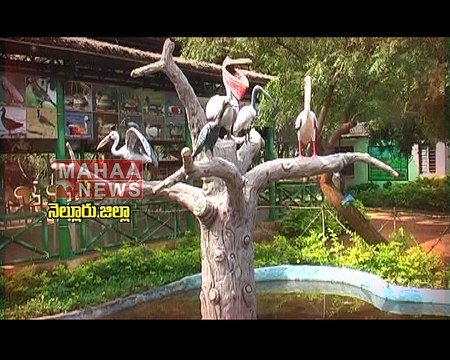 Song on Significance of Nellore | Mahaa News Exclusive Songs on 13 Districts in Andhra Pradesh