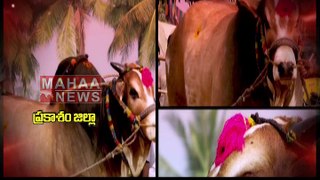 Song on Significance of Prakasam | Mahaa News Exclusive Songs on 13 Districts in Andhra Pradesh