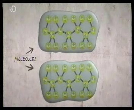 Geckskin: El superadhesivo (Fuerzas de Van Der Waals)