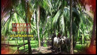 Song on Significance of West Godavari | Mahaa News Exclusive Songs on 13 Districts in Andhra Pradesh