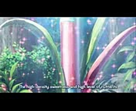 【トリコ】食事シーンまとめパート81セクション 3