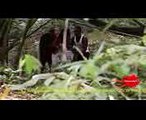 SAVE THE GIRL SHORT CLIPS - LATEST 2016 NOLLYWOOD NIGERIAN ACTION MOVIES