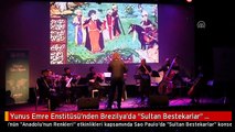 Yunus Emre Enstitüsü'nden Brezilya'da 