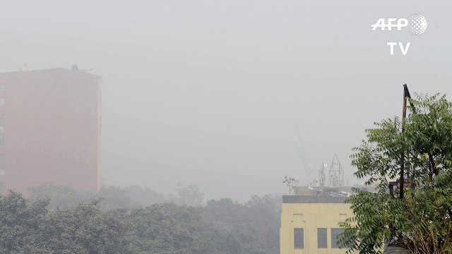Un épais brouillard de pollution enveloppe New Delhi