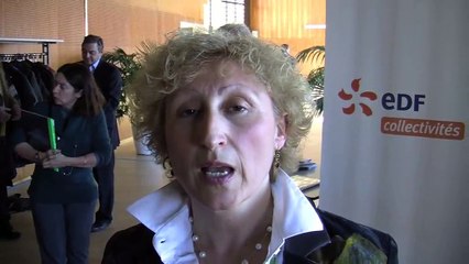 L'interview de Nadège Tissier, directrice du développement territorial chez EDF.