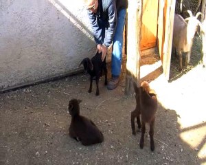Michel Loquet, agent d'accueil et d'entretien à la ferme de Figuerolles