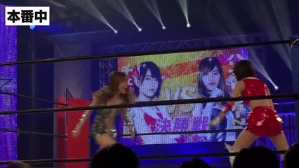 ドラマ【豆腐プロレス】「OVER THE TOP」最終回　決勝戦！そして戦いは次のステージへ…