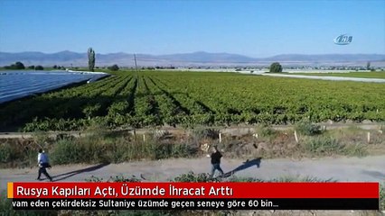 Rusya Kapıları Açtı, Üzümde İhracat Arttı