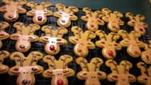 How to make Holiday Reindeer Cookies with royal icing and gingerbread man cookies