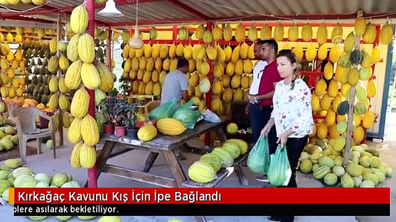 Kırkağaç Kavunu Kış İçin İpe Bağlandı