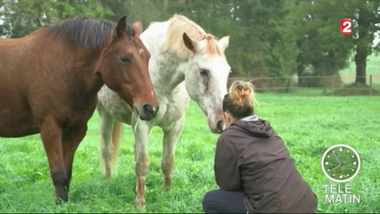 Faune - Reprendre les rênes de sa vie