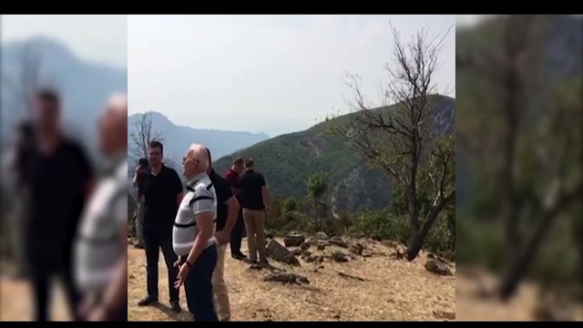 ASGJESOHET 21 MIJE RRENJE KANABIS NE TE GJITHE VENDIN, MINISTRI TAHIRI NDJEK AKSIONIN NE PUKE LAJM