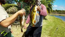 BEST FISHING SPOT IN FLORIDA for Peacock Bass