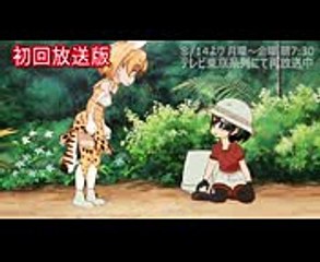 けものフレンズ  再放送 ミス！ また、かばんちゃん　Kemono Friends