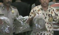 Pengedar Ganja Ditangkap di Papua