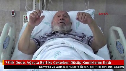 78'lik Dede, Ağaçta Barfiks Çekerken Düşüp Kemiklerini Kırdı