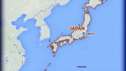 DY TERMETE TE FUQISHME TRONDISIN JAPONINE NUK KA DEME NE NJEREZ DHE AS ALARM PER CUNAM LAJM