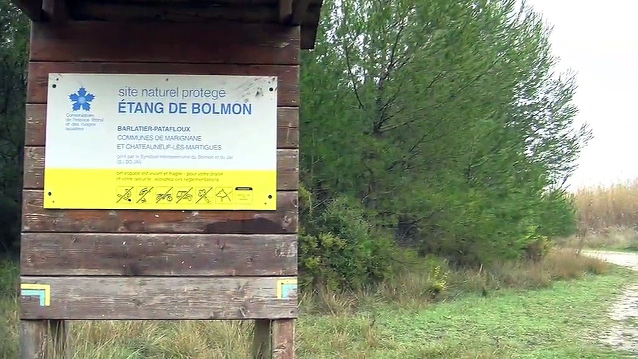 Le complexe naturel Etang de Berre compte pas moins de 30 étangs, lacs et marais.