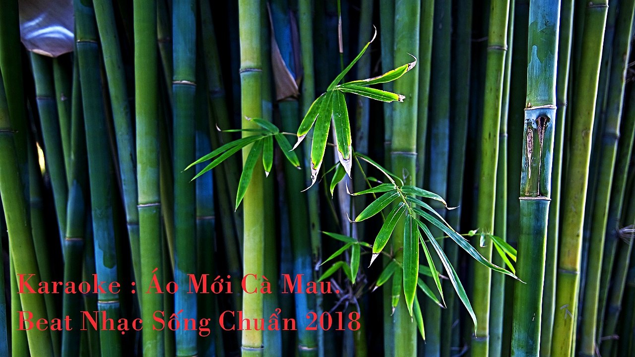 Ao Moi Ca Mau