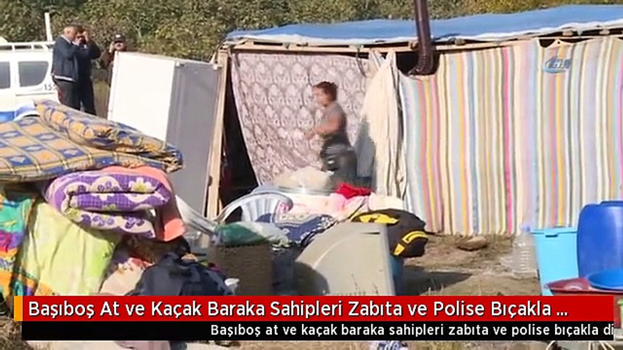 Başıboş At ve Kaçak Baraka Sahipleri Zabıta ve Polise Bıçakla Direndi