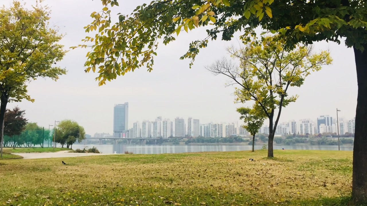 '늦가을 정취 만끽' 한강 산책길 3곳 소개 / YTN