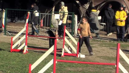 La belle course de Lou et Cléopâtre