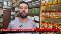 Havalar Soğudu Ihlamur Satışları Arttı