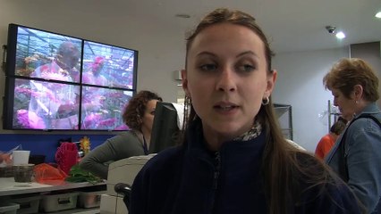 Quelques précisions sur le brin de muguet