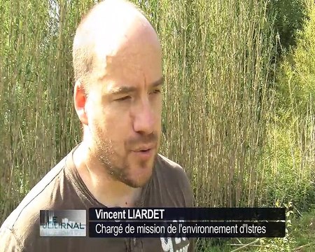 Interview de Vincent Liardet, chargé de mission de l'environnement pour la ville d'Istres