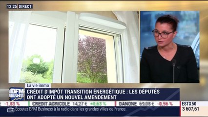 La vie immo: Nouvel amendement voté sur le Crédit d'Impôt Transition Energétique (CITE) - 10/11