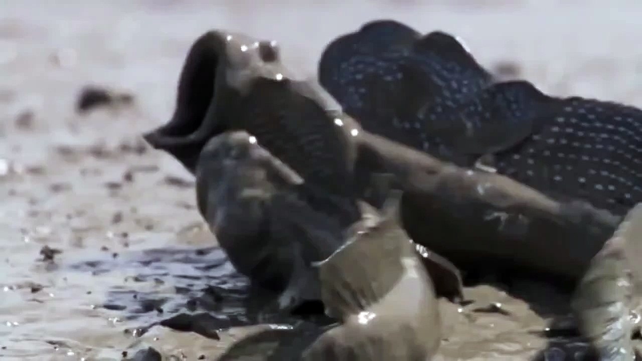 AHHH