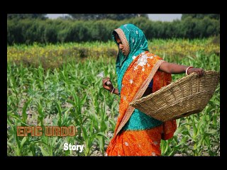 The Farmer | And The Chughal Khoor | Urdu Hindi Story | 2017