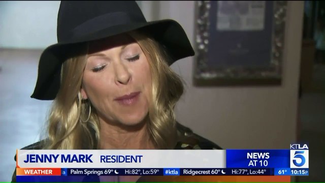 Bear Cub Breaks Into California Family's Home