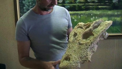 Le Crocodile de Velaux revient à la maison !