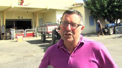 L'interview de Michel Daudet, directeur de la cave coopérative de Saint-Julien.