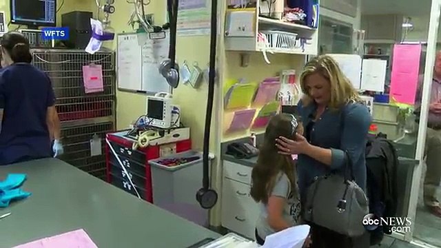 Pas je režao i skakao, a djevojčica je jecala. Kad su videli šape, sve im je bilo jasno!