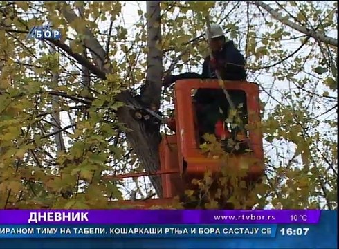 Dnevnik, 10. novembar 2017 (RTV Bor)