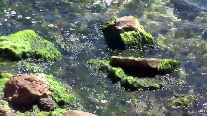 L'adjudant chef Christophe Brouillet de la brigade nautique de Martigues