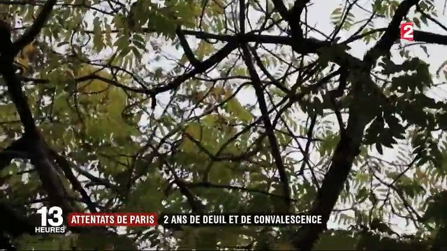 Attentats de Paris : les rescapés face à la douleur des blessures invisibles