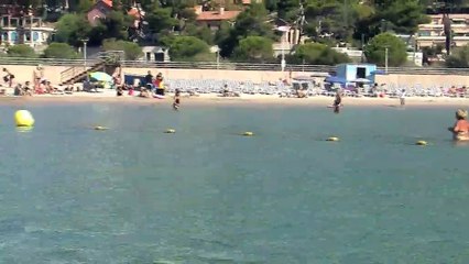 L'interview de Marie Monin, du Parc Marin Côte Bleue